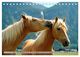 Thumbnail-11