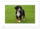 Thumbnail-9