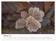 Thumbnail-12