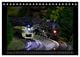 Thumbnail-13