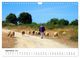 Thumbnail-11