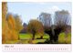 Thumbnail-11
