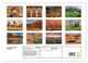 Thumbnail-9