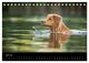 Thumbnail-12