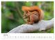 Thumbnail-10