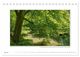 Thumbnail-12