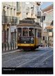 Thumbnail-14