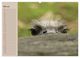 Thumbnail-9