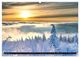 Thumbnail-14
