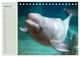Thumbnail-10