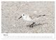 Thumbnail-9