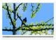 Thumbnail-8