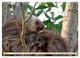 Thumbnail-11