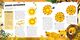 Thumbnail-9