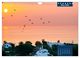 Thumbnail-8