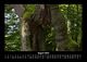 Thumbnail-12