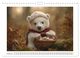 Thumbnail-2