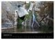 Thumbnail-14