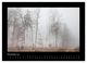 Thumbnail-13