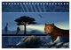 Thumbnail-10