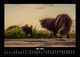 Thumbnail-9