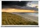 Thumbnail-12
