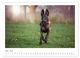 Thumbnail-4