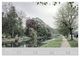 Thumbnail-11