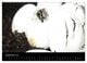 Thumbnail-10
