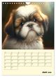 Thumbnail-11