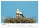 Thumbnail-10