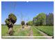 Thumbnail-11