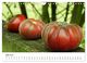 Thumbnail-11
