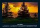 Thumbnail-10