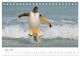 Thumbnail-9