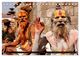 Thumbnail-9