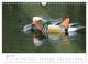 Thumbnail-11