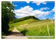 Thumbnail-11