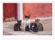 Thumbnail-8