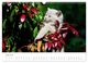 Thumbnail-12