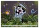 Thumbnail-13