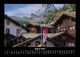 Thumbnail-12