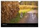 Thumbnail-13