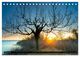 Thumbnail-7