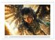 Thumbnail-9