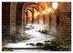 Thumbnail-11