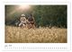 Thumbnail-12
