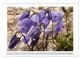 Thumbnail-11