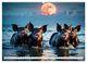 Thumbnail-14
