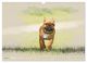Thumbnail-9